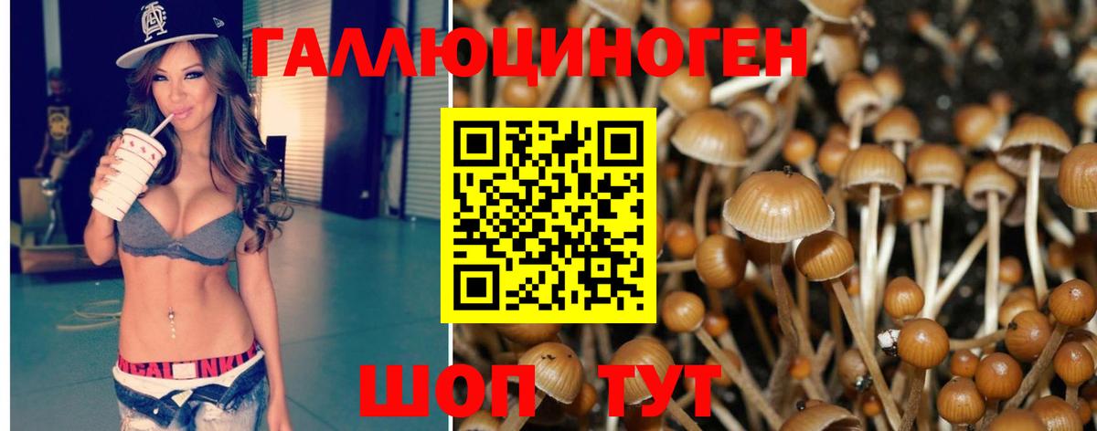 Галлюциногенные грибы Psilocybe  Вход с VPN  Выборг 